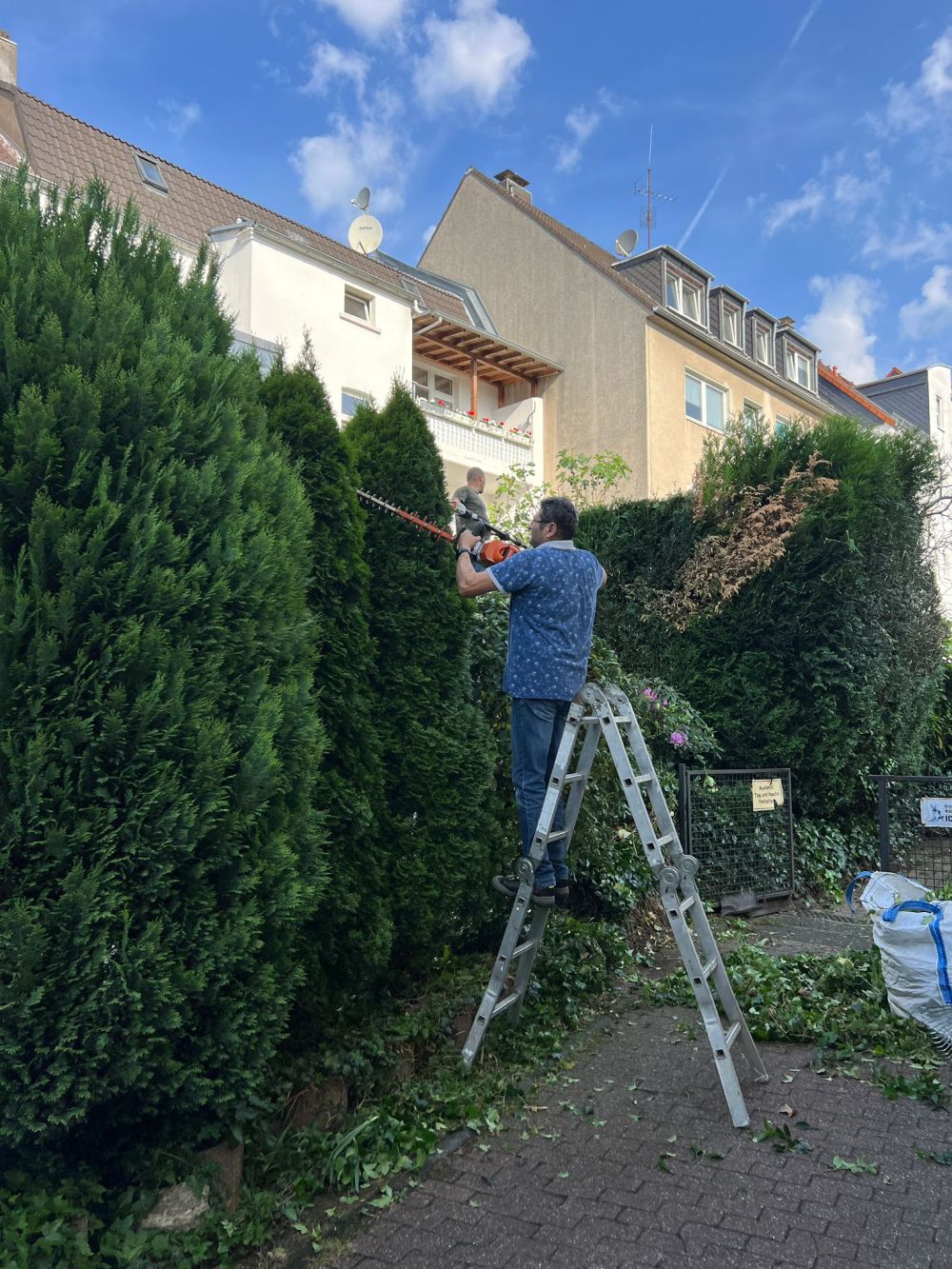 Gartenpflege-galeri (2)