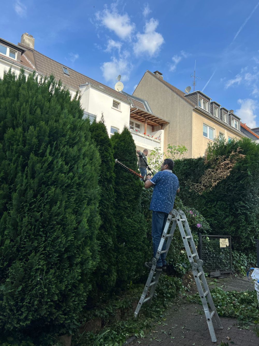 Gartenpflege-galeri (3)