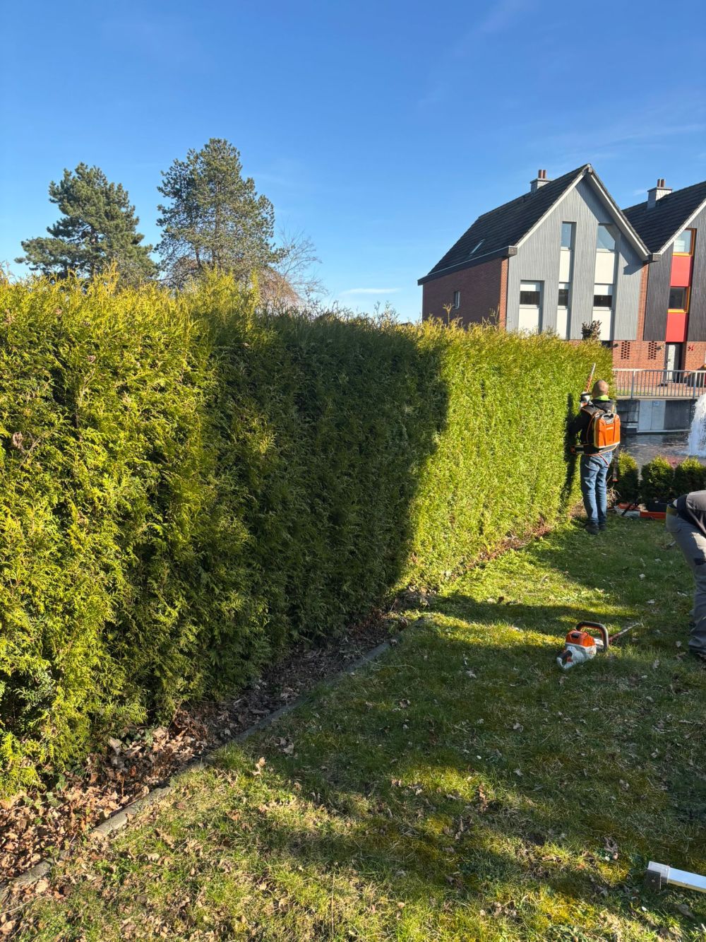 Gartenpflege-galeri (4)