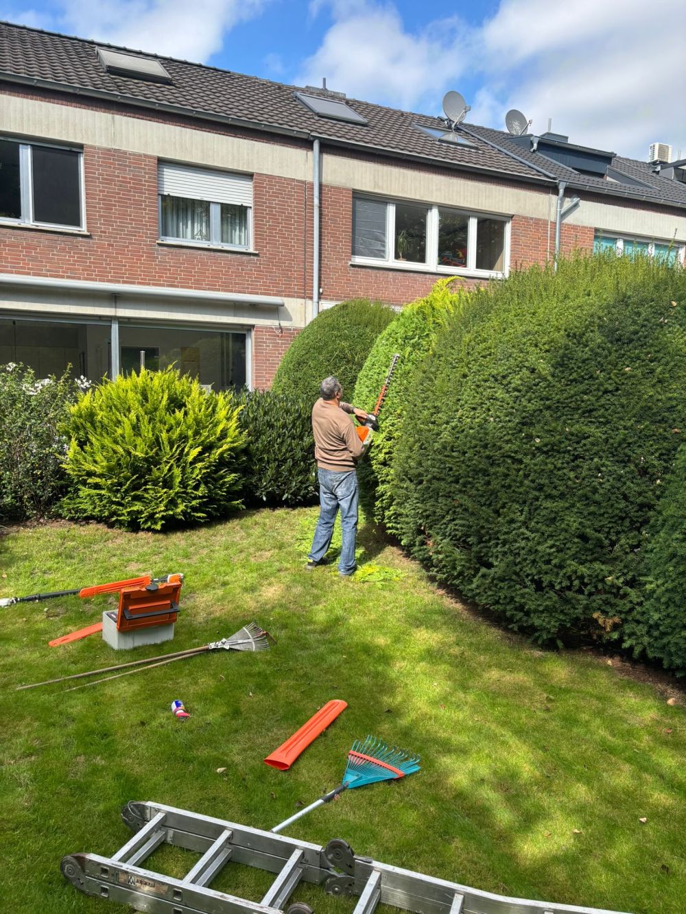 Gartenpflege-galeri (6)